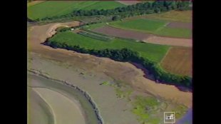 Vidéo - Chapitre 12 - Les côtes bretonnes envahies par des algues vertes
