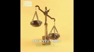 Vidéo - Chapitre 9 -  Comment lutter contre le changement climatique ? p. 286