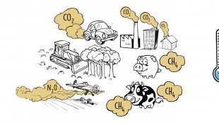 Vidéo - Chapitre 9 - Le premier marché de quotas carbone, p. 290